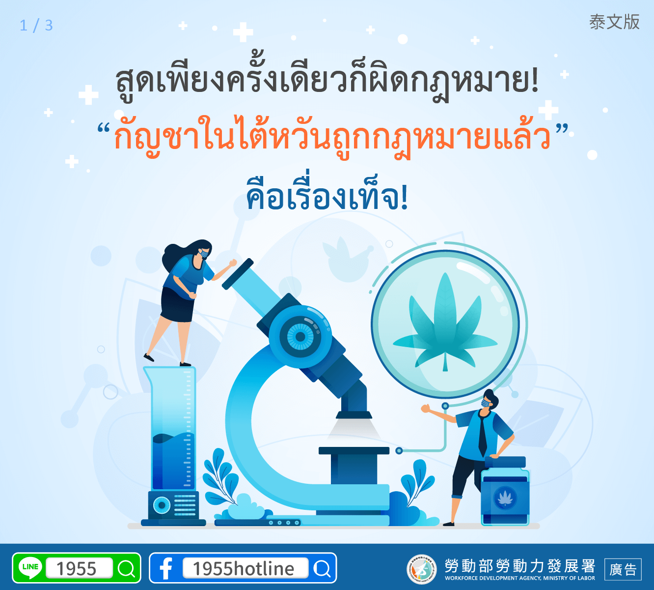 【泰文版1】吸一口就違法？破解「大麻合法」的真相！