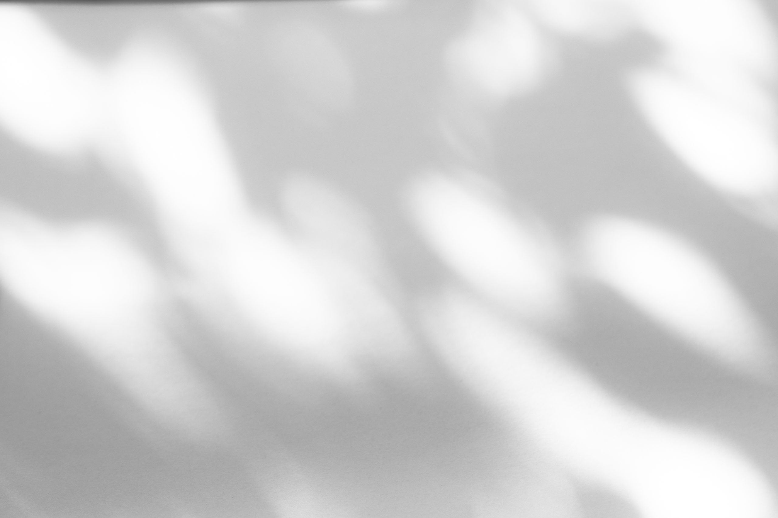 Organic drop shadow on a white wall